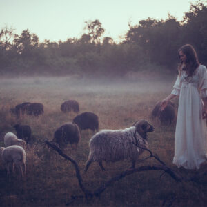 Fantasy - Photography